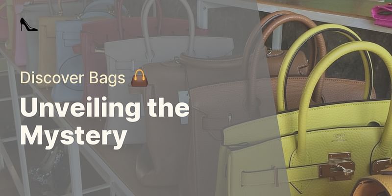 Unveiling the Mystery - Discover Bags 👜